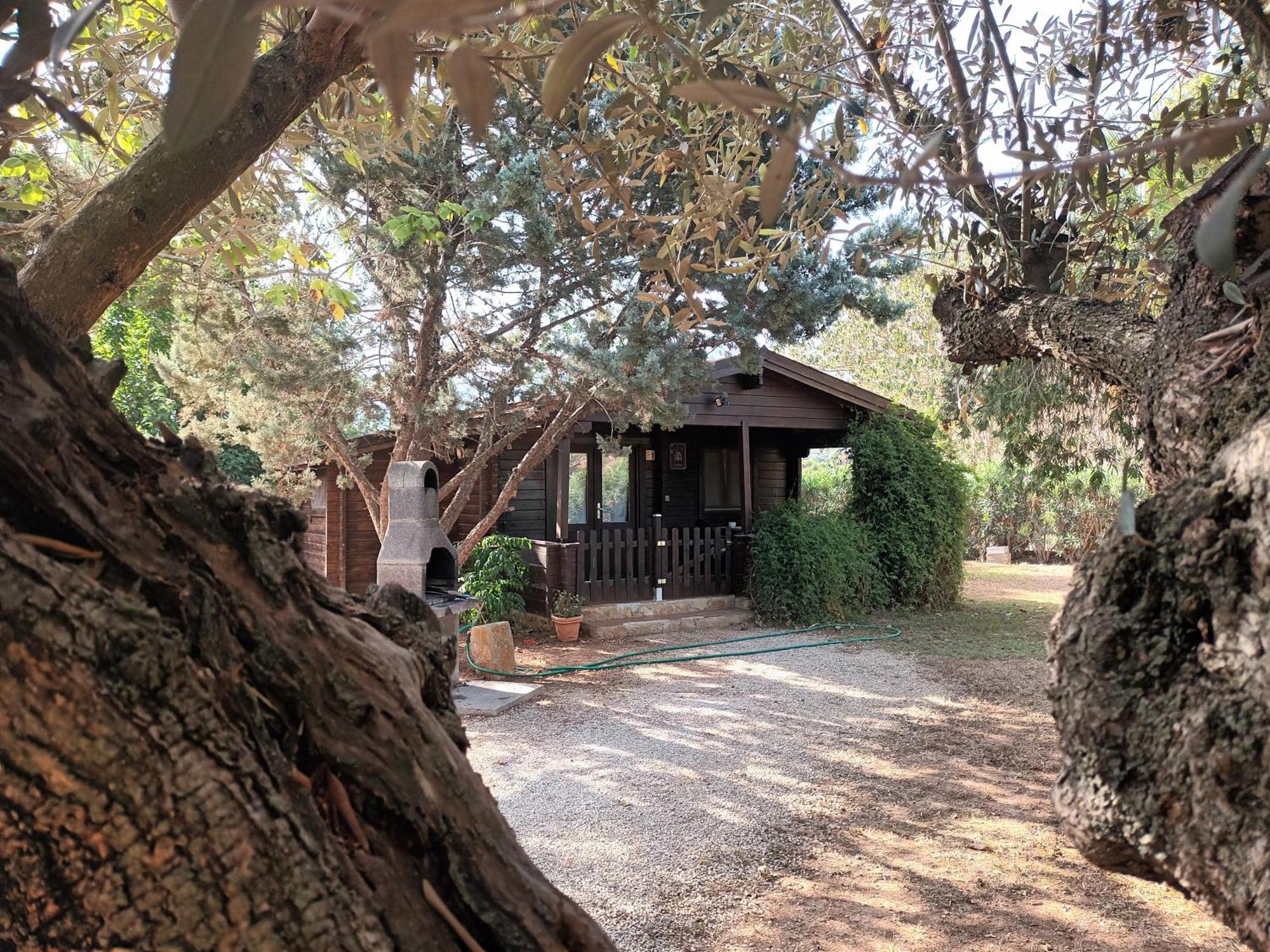 Entre Viejos Olivos Villa Benicolet Exterior photo